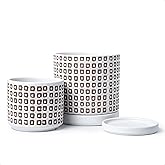 D'vine Dev Set of 2 Ceramic Planter Pots with Drainage Hole and Saucer, 4.5 Inch 6 Inch Plant Pots for Plants Indoor Houseplants, White, 99-A-1