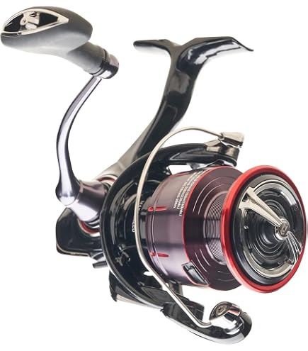 Amazon.com : Daiwa EXELT2500D-XH EXCELER LT Spinning Reel, 5BB + 1