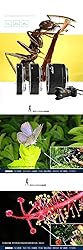 DG-C Auto-Focus Macro Lens Extension Tube Set