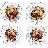 GoGiDesigns Golden Doodle Sticker - Set 4 in 1 Stickers - Funny Golden Doodle Stickers - 3D Cute Animal Sticker - Sticker for Phone Tumbler - for Laptop