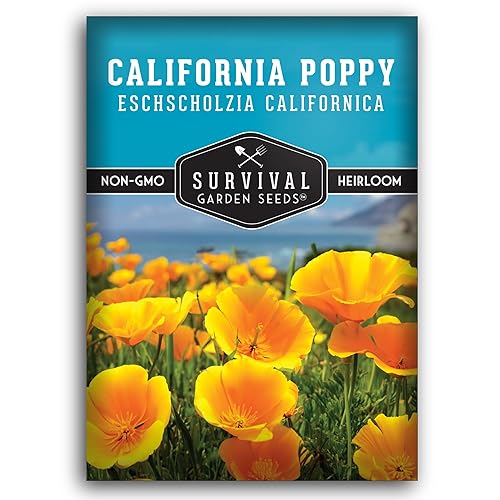 Survival Garden Seeds - California Poppy Seeds for Planting - 1 Packet ...