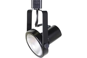 Direct-Lighting 50005 Black PAR30 Short Neck Gimbal Ring Line Voltage Track Lighting Head