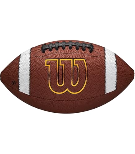 Wilson Sports Super Bowl XXI Official Game Ball Football