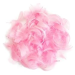 300pcs Pink Feathers 2-3 Inches Bulk Feathers for