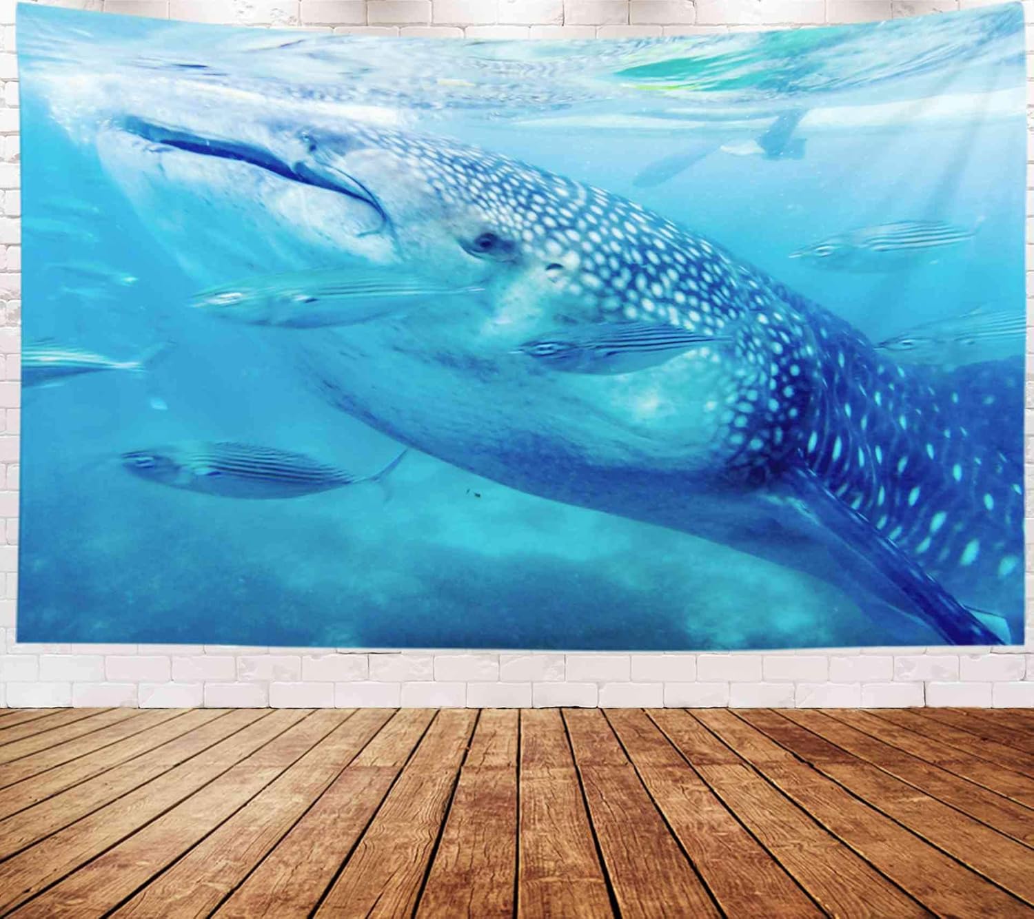 Musesh Marine Whale Tapestry,Art Tapestry, Tapestries Wall Hanging for Bedroom Living Room Decor Inhouse 80x60 Inches Size Soft Focus A Feeding Juvenile Whale Shark in Oslob Cebu City Philippines