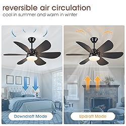 MADSHNE Ceiling Fans with Lights and