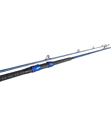 okuma cedros csx-s-1102mh graphite saltwater surf spinning rod Amazon.com : Okuma Fishing Tackle CSX-S-902MH Cedros Surf CSX Graphite  Saltwater Spinning Rods, Black : Sports & Outdoors