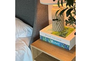 TASTEPICK Book Shape Decorative Cable Management Box - Expandable Cable Organizer Box with Magnetic Closure for Home & Office (Gogh Monet, Large)