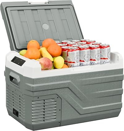 Alpicool 27L Car Refrigerator 12V 24V DC AC Portable Fridge Freezer NL30