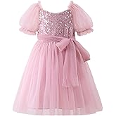 Tutu.kk Toddler Tutu Dress Girls Short Sleeve Fluffy Tulle Party Casual Dresses for 2-8 Years Kids