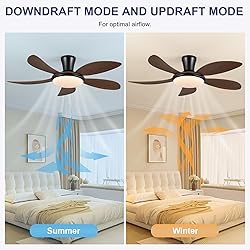 PHORUS Low Profile Ceiling Fans with Lights and