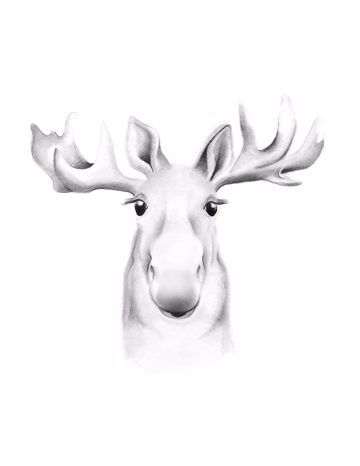 Amazon Com Moose Face Sketch Art Print In Various Sizes Unframed Print Handmade