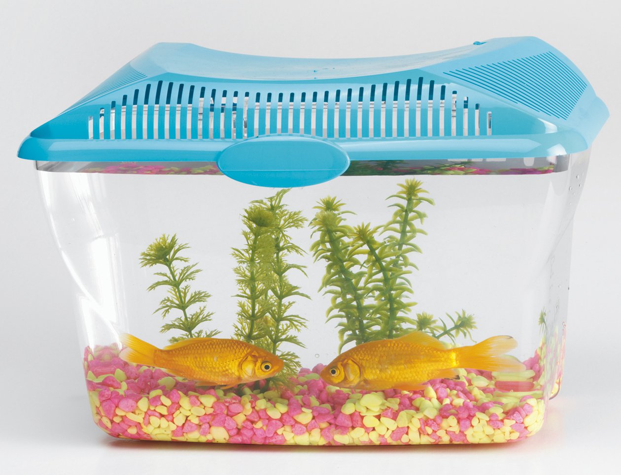 SAVIC Aqua-Smile 30 x 20 x 23 cm, 6 Litre