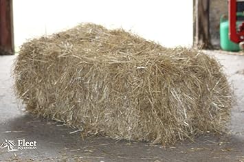 Fleet Farm Hay Bale For Horses Approx 17 23kg 100x50x40cm Boxed Free Pp
