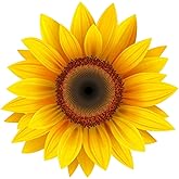 Yellow Sunflower Decal 3M USA Made Sticker CAR Truck Window Bumper Wall (4" Wide)