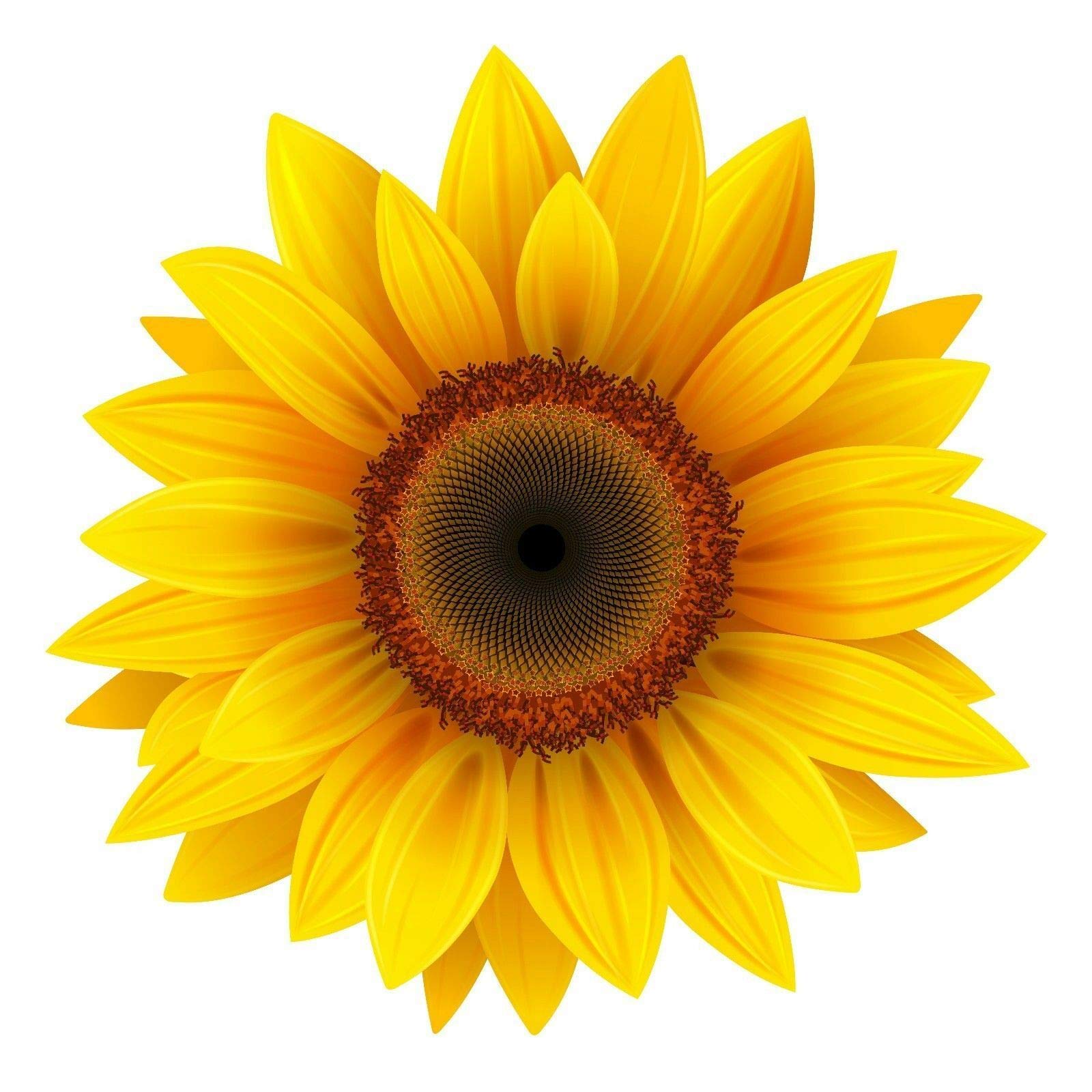 Photo 1 of Yellow Sunflower Decal 3M USA Made Sticker CAR Truck Window Bumper Wall (4" Wide)