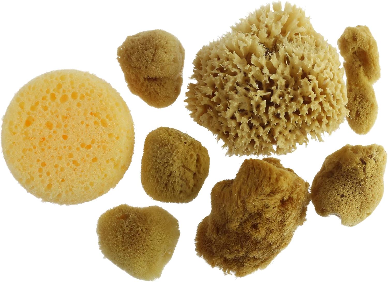 Artist Sponges Natural & Synethic by Craft Smart, 8 Pieces