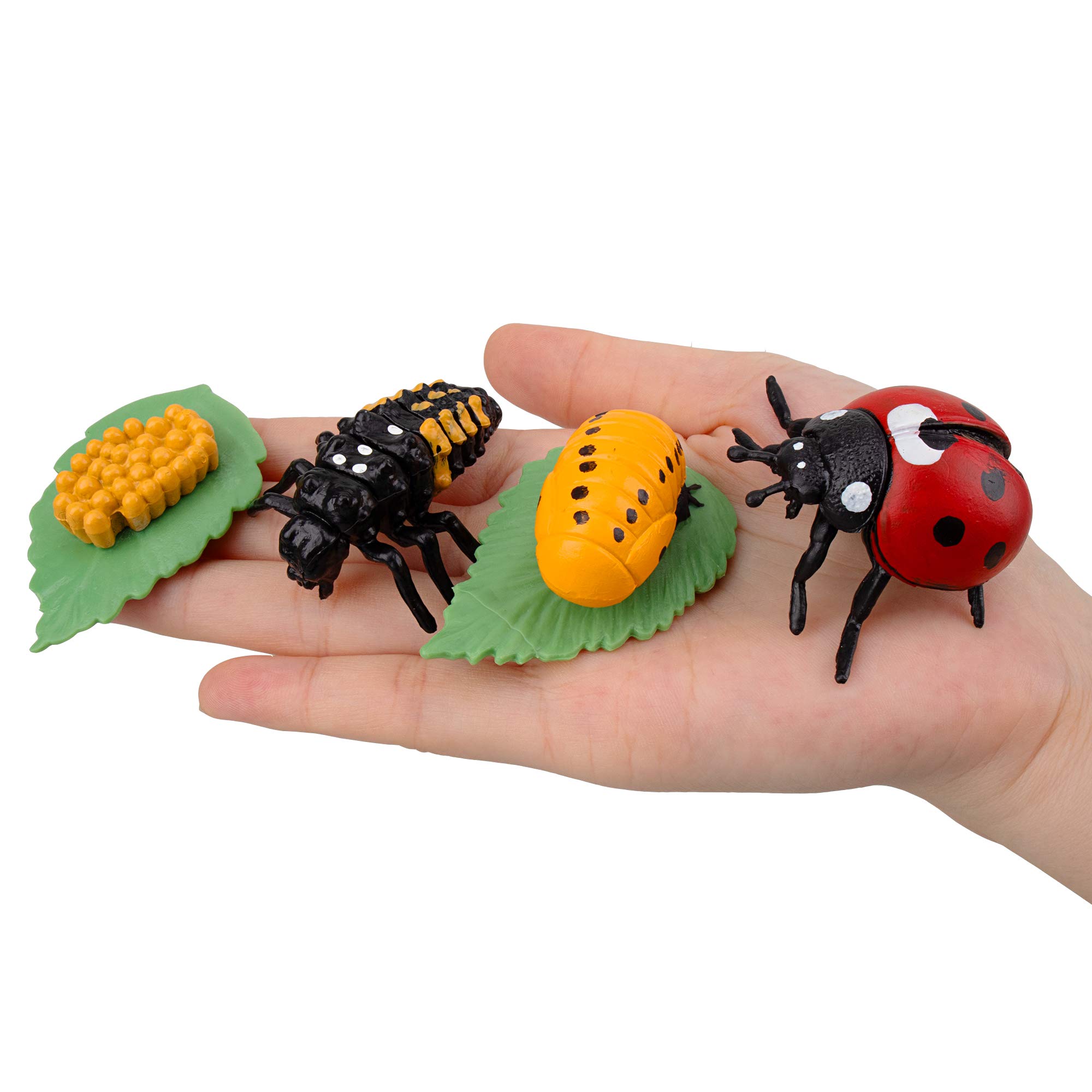 Mua Toymany 16PCS Insect Figurines Life Cycle of Monarch Butterfly ...