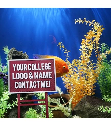 Aquarium Decor College Football with Logo for Fish Tank Baseball Basketball Any Team with Colors Custom Aquarium Decor Football Fish Tank Decorations : Pet Supplies