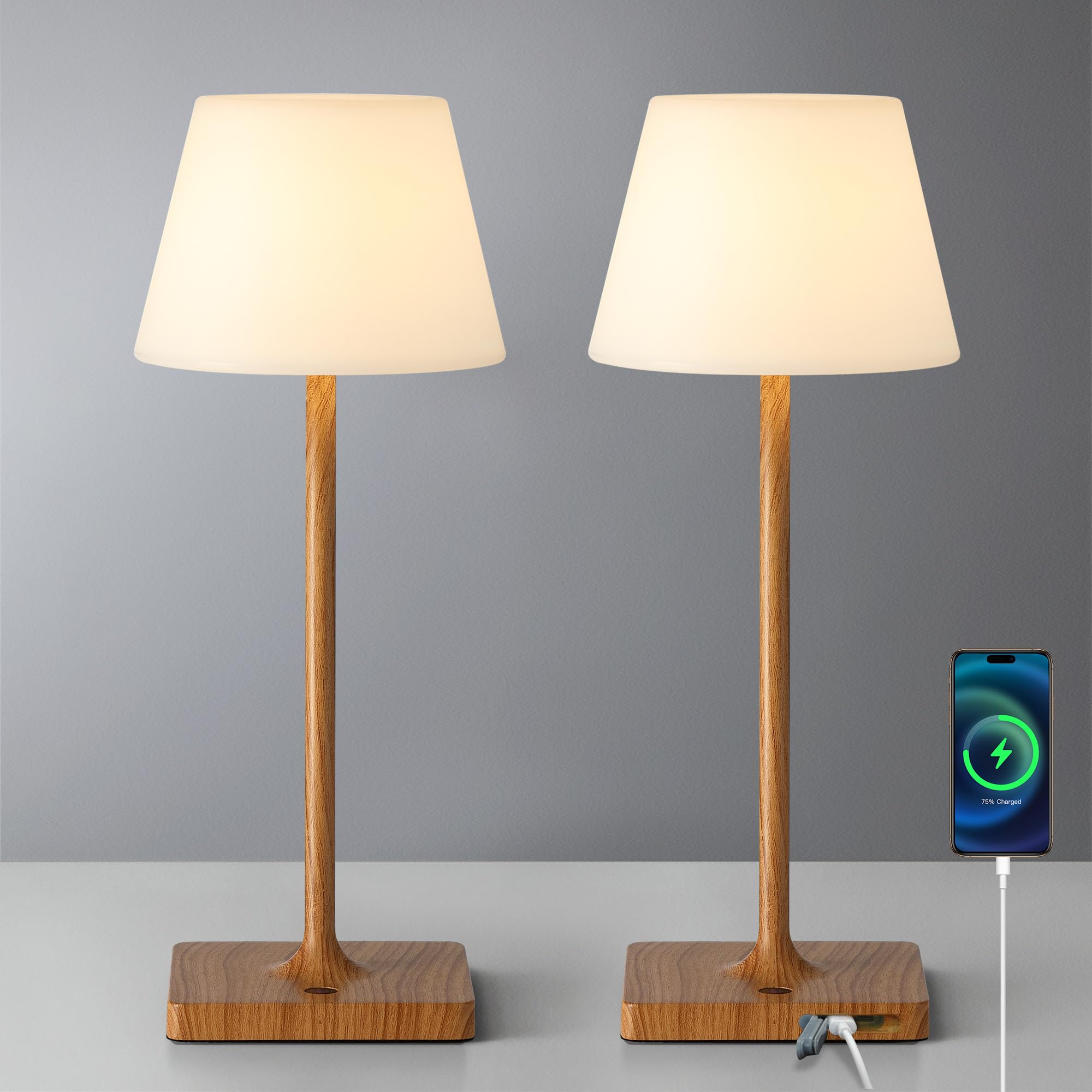 Photo 1 of NEWSEE Cordless Portable Touch Table Lamp Waterproof Shower Lamp Set of 2, 4000mAh Rechargeable Battery Powered Dimmable LED Desk Lamps, Modern Baby Night Light for Bedroom, Restaurant, Bathroom 14.5"