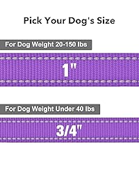 Taglory Dog Leash for Small Dogs, Double-Sided
