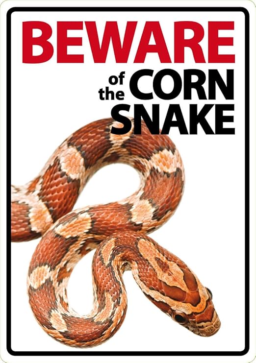 corn snake supplies