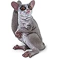 Safari Ltd. Bush Baby (Galagos) Figurine - Detailed 3.5" Plastic Model Figure - Fun Educational African Wildlife Play Toy for Boys, Girls & Kids Ages 3+