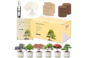 ADAWOOK 6X Bonsai Starter Kit, Bonzai Seed Kits, Drainable Starting Pots, Complete Indoor Starter Kit for Growing Bonsai Plants, Gardening Gifts for Women & Men