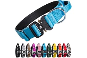 TSPRO Premium Dog Collars Tactical Dog Collar with Handle and Heavy Duty Quick-Release Metal Buckle Durable Thick and Adjustable for Medium to Large Dogs (Blue L)