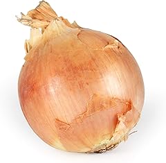 Yellow Onion, 1 Each