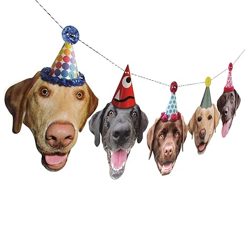 labrador decorative items