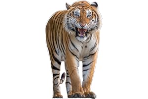 MAMMA KIDDIE Life Size Cardboard Cutout Standup | Waterproof | Animals - Tiger-
