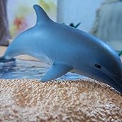 Schleich 14808 - Delfin: Amazon.de: Spielzeug
