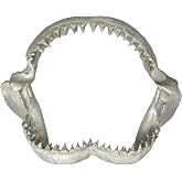 Zeckos Shark Jaw Wall Sculpture, 15.5 Inch Off-White Resin Replica | Detailed Teeth and Natural-Bone Look, Coastal Nautical Style, For Bathroom, Office, Game Room