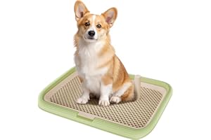 KOLA PANDA Dog Potty Tray, 23.6"x17.7" Indoor Pet Pee Pad Holder,Puppy Training Holder,Bathroom Dog Litter Box, Pet Toilet for Small and Medium Dogs,Housebreaking Supplies, Pet Products (Green)