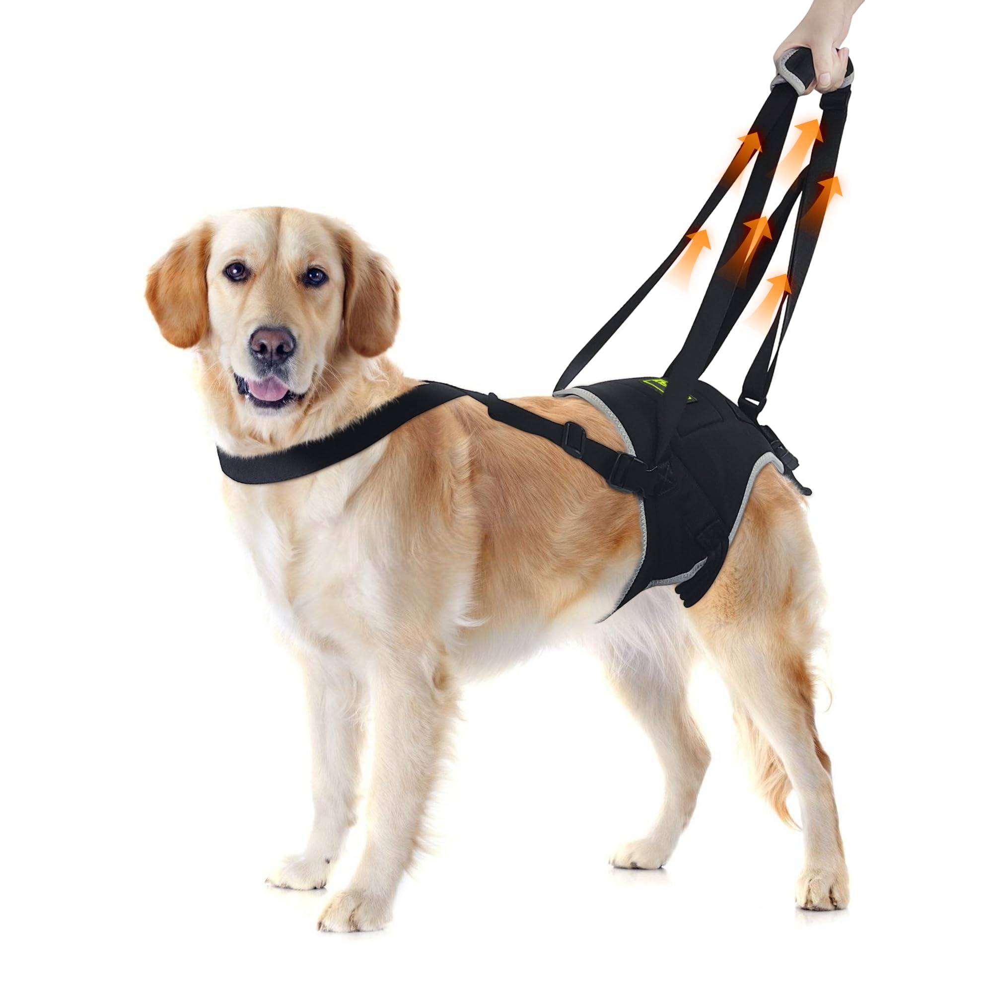 Photo 1 of Dog Lift Harness for Extra Large Dogs, Dog Harness with Handle for Lifting, Dog Back Leg Support Harness for Weak Hind Legs to Prevent Dogs from Falling, Breathable and Comfortable, Easy to Wear- XL