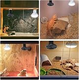 LUCKY HERP Ceramic Heat Emitter 150W Reptile Bulbs 2Pack E27 Vivarium view 6