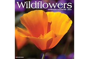 WILLOW CREEK PR Wildflowers 2024 Calendar