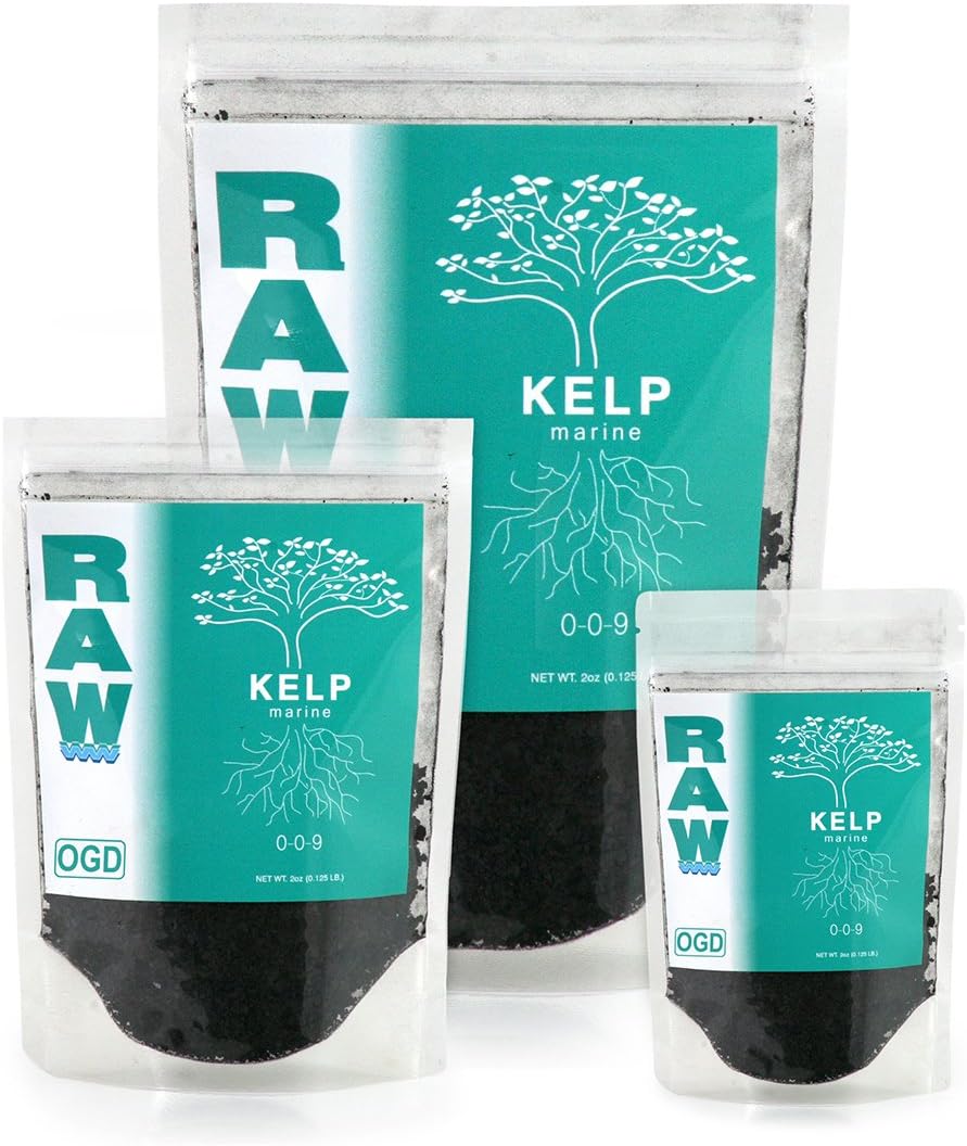 RAW Kelp 8 oz (6/Cs)