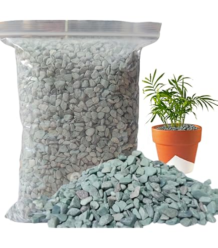 Amazon.com : Natural Green Zeolite for Cactus & Succulent, Bonsai Soil Mix  - Clinoptilolite -qln : Patio, Lawn & Garden