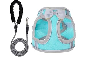 WOCUME Dog Harness with Leash Set, Step-in Breathable Puppy Cat Dog Vest Harnesses, No Pull Adjustable Reflective Puppy Harness with Soft Padded Vest for Extra-Small/Small Medium Large Dogs and Cats