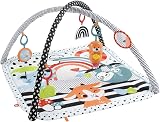 Fisher-Price 3-in-1 Baby Gym Newborn Playset Lights & Sounds HBP41 view 1