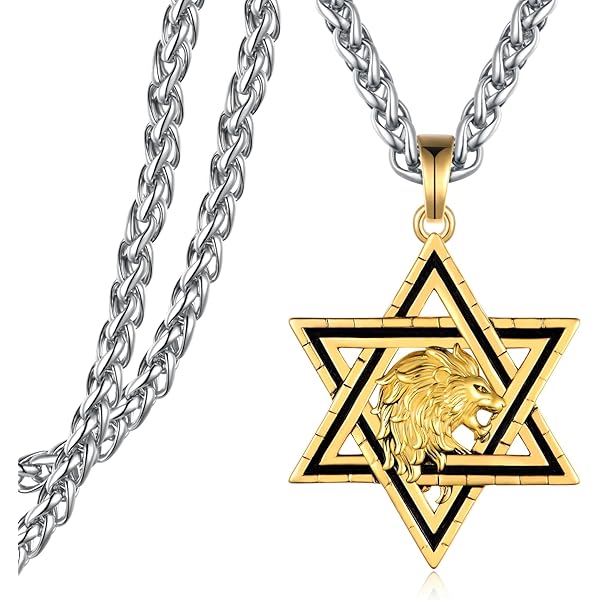 Star Of David Lion Of Judah Pendant Jewelry Lion Of Judah