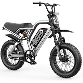 Electric Bike for Adults 750W, 48V 15.6Ah Battery E-Bike, Fat Tire Electric Mountain Bike with 16x3.0 Tires, 50 Mile Range, Front Rear Suspension, Mechanical Disc Brakes, All Terrain Ebike Men Women