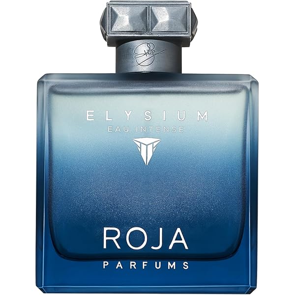 香水 ELYSIUM エリジウム 100ml Roja Parfums Men's Elysium EDP Spray 3.4 oz (100 ml