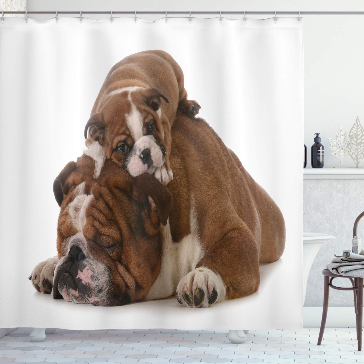 ABAKUHAUS English Bulldog Shower Curtain, Father and Son Bulldogs Fathers Day Photograph Domestic Pet Animals, Cloth Fabric Bathroom Decor Set with Hooks, 70 Inches, Brown White Black — image 1