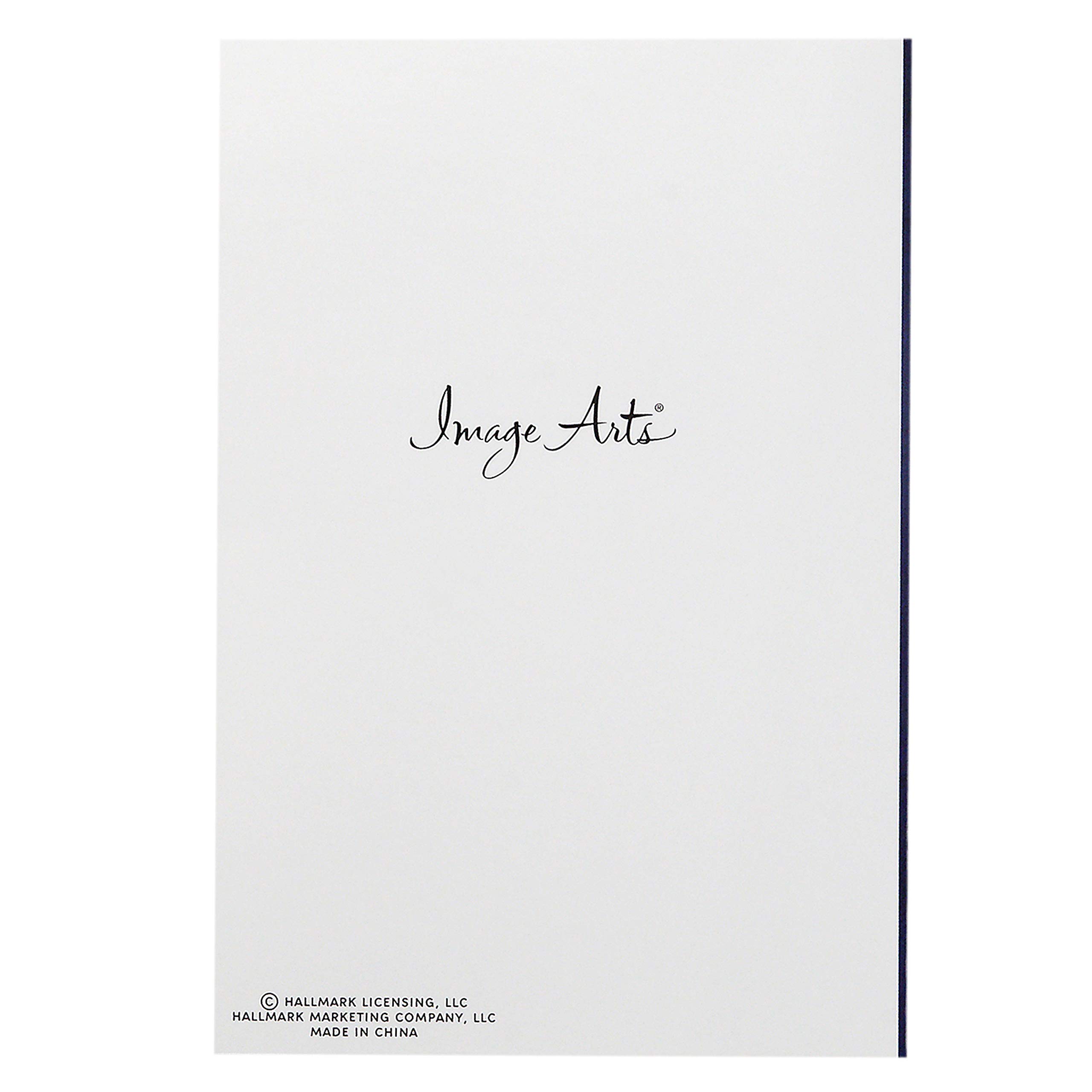 Hallmark Image Arts Religious Boxed Christmas Cards Assortment (4 Designs, 24 Christmas Cards with Envelopes)