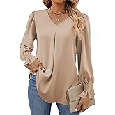 Funlingo Women's 2025 Long Sleeve Tops Dressy Casual V Neck Tunic Shirts Loose Chiffon Work Blouse