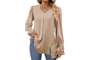 Funlingo Women's 2025 Long Sleeve Tops Dressy Casual V Neck Tunic Shirts Loose Chiffon Work Blouse