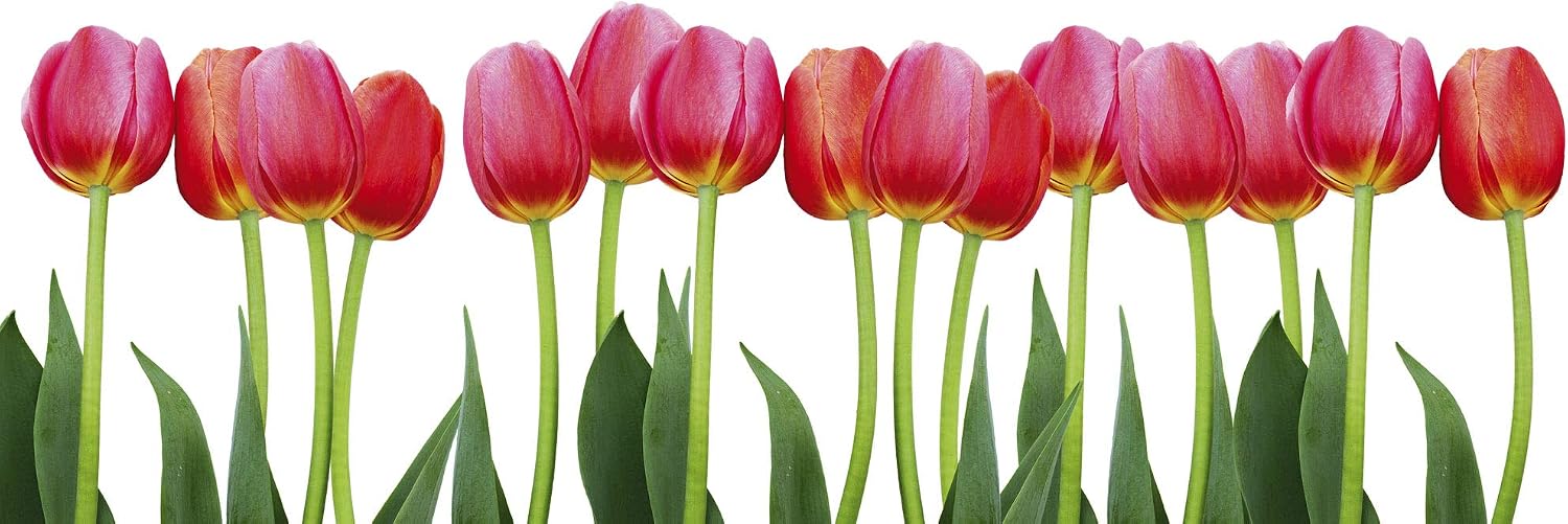 DIMEX LINE Peel and Stick Kitchen Backsplash Sticker Bed of Tulips, Red, 180 x 60 cm - Image 4